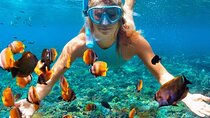 Blue Lagoon Snorkeling Tour Combain Ubud Spa - All inclusive