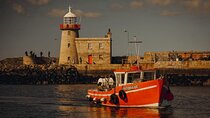 Sundown Cruise Around the Island of Ireland's Eye from Howth 