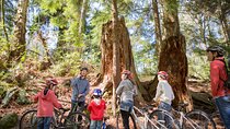 The Stanley Park Family Tour by Cycle City Tours