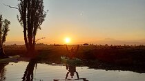 Xochimilco in Kayak