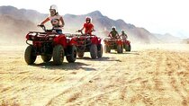 Hurghada Desert Safari by Jeep, Quad & Camel with Dinner & Show