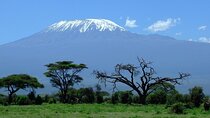 Amboseli National Park and Masai Village Day Trip From Nairobi