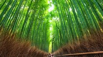 Kyoto: Arashiyama Walking Tour – UNESCO World Heritage