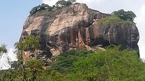 Private Sigiriya Tour from Kandy to Dambulla & back to Kandy