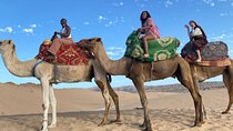 Camel Ride in Timlalin Dunes with luxury Sunset and Mint Tea