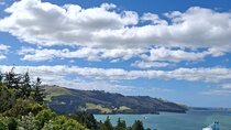 Dunedin & North Otago Scenic & Wildlife Tour