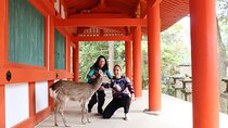 Private Nara Tour and Sake Tasting (Departing from Kyoto/Nara)