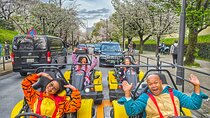 Go Kart Tokyo Spring Tour Experience