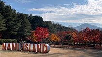  Seoul to Nami Island Alpaca World and Everland with Driver