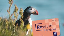 Reykjavik City Card 48 hours