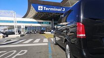 Private Transfer From/To Airport or Port or Rome city.