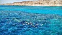 Sharm el Sheikh Port : Ras Mohammed snorkeling Trip