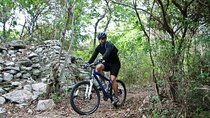 Mountain Bike Jungle Tour and Cenote