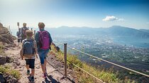 Small Group for Cruisers: Pompeii, Vesuvius + Lunch from Naples