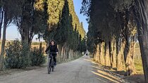 Rome: Frascati Vineyard Bike Tour with Train Tickets