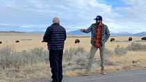 Private Antelope Island & Great Salt Lake Tour