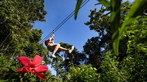 Original Canopy Tour at Veragua Rainforest