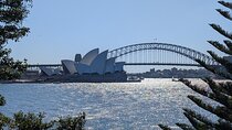 Guided Walking Tour in Sydney City with Lunch