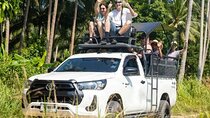 Koh Samui Private 4x4 Jungle Safari and Temple Day Tour