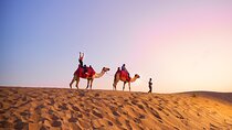 Dubai Red Dunes Desert Safari with Quad Bike Ride, Dinner & Shows
