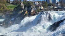 Rhine Falls & Stein am Rhein Private Tour 