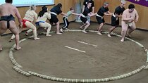 Complete Sumo Experience in Tokyo