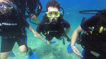 Alanya Scuba Diving Tour with Instructor Lunch and Pickup Service