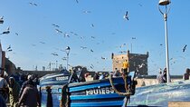 Essaouira Day Trip from Marrakech