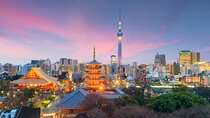 Tokyo Private Group Tour – Flexible Schedule and Stops