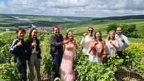 Champagne Tour: 3 family estates, 10 Tastings & Lunch