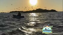 Sunset Kayaking - Wildlife Refuge (Titusville)