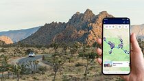 Journey into Joshua Tree Audio Tour and Locals Guide