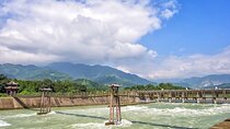 Dujiangyan Irrigation System and Panda Base Day tour