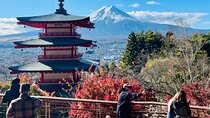 From Tokyo: Mount Fuji Private Trip with English Speaking Driver