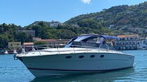 Private transfer Naples Ischia 