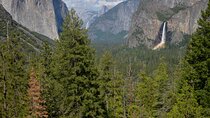 2 Day Private Tour to Yosemite National Park