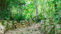 Can Gio Mangrove Forest, Thanh An Island, Vung Tau 2 Days Tour