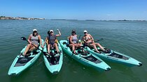 Luxury Single Kayak Tour To An Island Off Clearwater Beach!