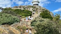 Cape Peninsula Cape of Good Hope and Penguins Tour in Cape Town