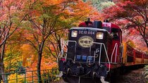 Kyoto Arashiyama and Nara Tour with Sagano Train, Giikawa Honpo
