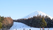 Mt Fuji Ski Resort Tour from Tokyo