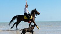 Horse Riding Tour Desert Red Sea Beach with transfers Hurghada