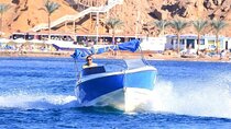 Private 1 Hour Speedboat & Parasailing W/Transfer-Sharm El Sheikh