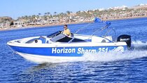 Private 2 Hours Speedboat, Tour the Coast - Sharm El Sheikh