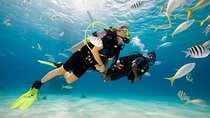 Diving Tour from Antalya or Kemer with Lunch
