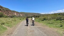 Hells Gate Day Tour and Lake Naivasha Boat Ride