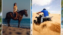 Desert Quad Biking, 2-Hour Horse Riding Excursion–Sharm El Sheikh