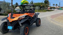 Action-Packed Half Day Aruba UTV Tour and Cave Pool