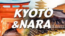 Best of Kyoto and Nara Highlights Day Tour from Osaka (7~9 spots)