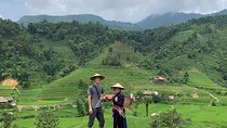 Sapa Bac Ha Market 2D1N Exclusive Tour 